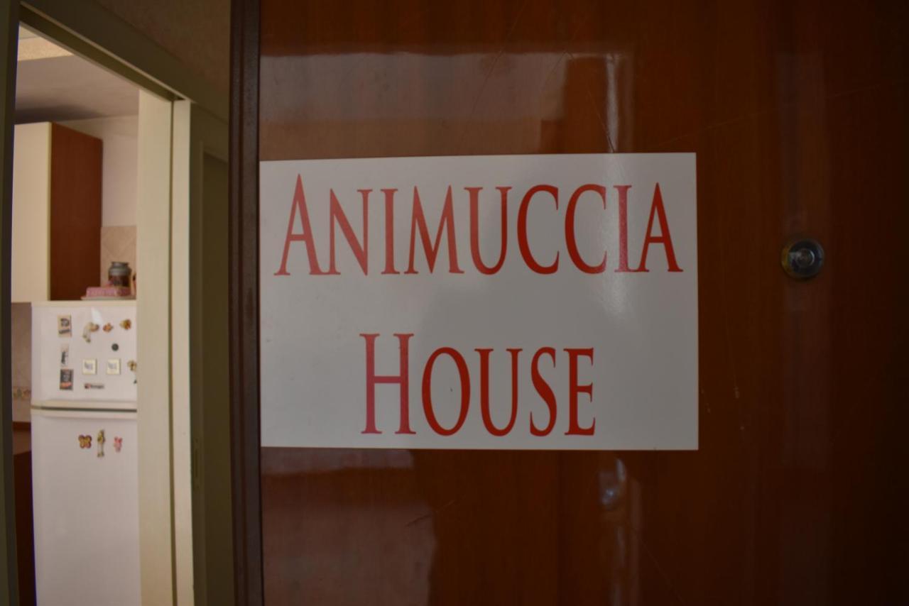 Casa Vacanze "Animuccia House" Roma ภายนอก รูปภาพ